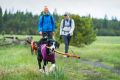 0590_Fernie_LifestyleImage_01_Zoom.jpg