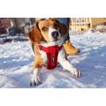 snoopy-13-website.jpg