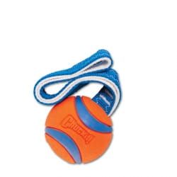 Chuckit! zabawka Ultra Tug Small (5cm)