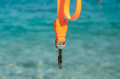dog-leash-neopro-tangerine-orange-zeedog-pet-dk-resistant-water.png