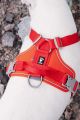 hurtta_weekend_warrior_harness_rosehip_lifestyle_1.jpg