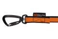 bungee_leash_2019_2.jpg