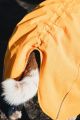 hurtta_expeditionparka2.jpg
