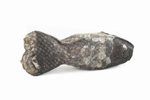 Icepaw_Gryzak_skóry_łososia.JPG