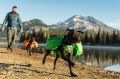 160914_RUFF-7208_Zoom.jpg