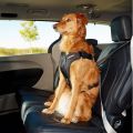 EzyDog-Drive-Car-Safety-Harness-for-dogs.jpg