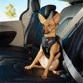 EzyDog-Drive-Dog-Car-Safety-Harness.jpg