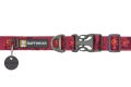 Web JPG-25203-Flat-Out-Collar-Alpenglow-Burst-Buckle-Closed-Studio.jpg