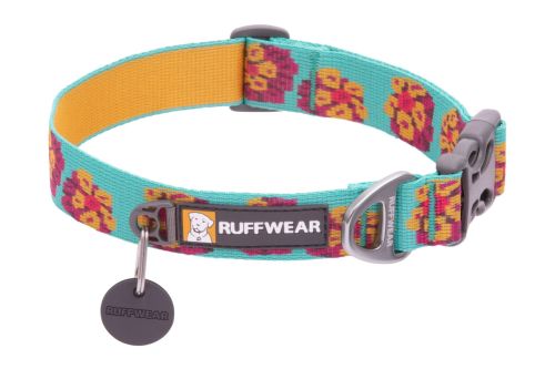 Web-25203-Flat-Out-Collar-Spring-Burst.jpg