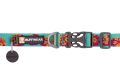 Web-25203-Flat-Out-Collar-Spring-Burst-Buckle-Closed.jpg