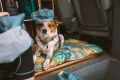 Web JPG-1045-Basecamp-Bed-Van-Life-Kristen-Emma-Print-34.jpg