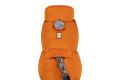 Web JPG-05603-Quinzee-Campfire-Orange-Neck-Detail-Leash-Beacon.jpg