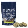 ICEPAW-Kabeljau-Cookies-ciasteczka-z-dorsza-100g_[943]_1200.jpg