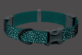 2585-Confluence-Collar-Aurora-Teal-Reflective-SMALL_820x550.png