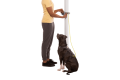 4041-Hitch-Hiker-Leash-Slate-Blue-Tie-Out-SMALL_820x550.png