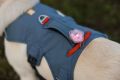 Web JPG-30103_Web Master_Slate Blue_ Mark and Bento_Photos Tyler Roemer_Print-87.jpg