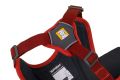 Web JPG-30103_Web Master_Red Sumac_Chest Angle_STUDIO.jpg