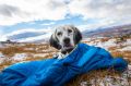 Spiwor-dla-psa-Ly-sleeping-bag2.jpeg