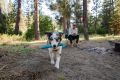 Web JPG-Nate-Winston-Camping-20.jpg