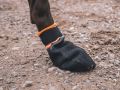 hop-dog-protector-bootie-non-stop-dogwear-08.jpeg