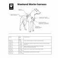 weekend_warrior_harness_aw2021_4_5.jpg