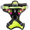 hurttaweekendwarriorharness_neonlicorice_aw22_3.jpg