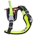 hurttaweekendwarriorharness_neonlicorice_aw22_1.jpg