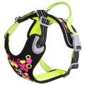 hurttaweekendwarriorharness_neonlicorice_aw22.jpg