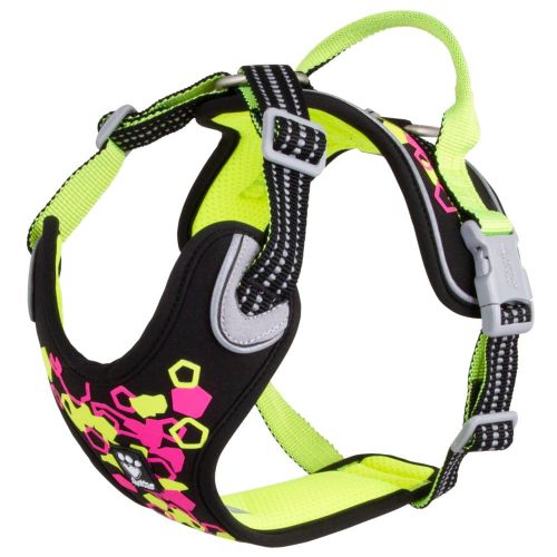 hurttaweekendwarriorharness_neonlicorice_aw22.jpg