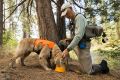 Web JPG-20403_Bivy Bowl_Salamander Orange_Phil and Marley_Metolius_Photos Tyler Roemer_Print-1.jpg