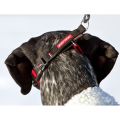 _mg_1890_edited_03_website.jpg