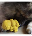 sp-honey-bear-large-yellow6.jpg