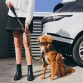 click-leash-outside-car.jpg