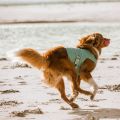 hurttacoolingwrap_aquamarine_ss21_3.original.jpg