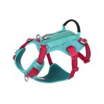 Truelove Safe Hiking szelki antyucieczkowe dla psa - niebieskie