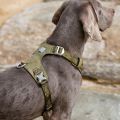 Szelki-dla6-psa-Truelove-Adventure-Soft-zielony-khaki.jpg