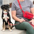 Lifestyle-Go Explore Belt Bag_4.jpg