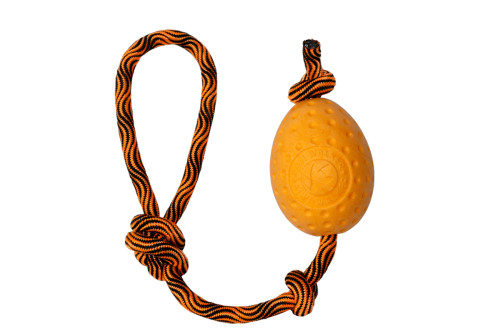 a0167f2f6cc1044a35c657d0b35484f6.png