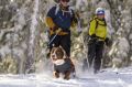 170302_RUFF-6780-PRINT.jpg