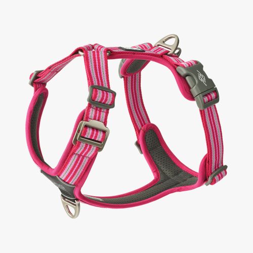 Comfort Walk Air Harness-Wild Rose_1.jpg