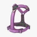 Comfort Walk Air Harness-Purple Passion_2.jpg