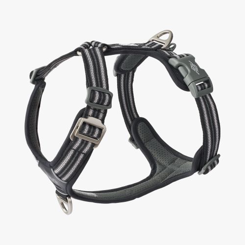 Comfort Walk Air Harness-Black_1.jpg