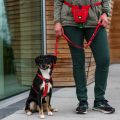 Lifestyle-Urban Freestyle Leash_3.jpg