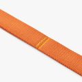 Urban Trail Leash-Orange Sun_2.jpg