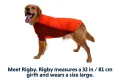 05702_Powder-Hound_Persimmon-Orange_RIGBY_Large_9845f931-5934-4415-922f-8f5fb25e8d60.jpg