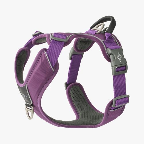Comfort Walk Pro Harness-Purple Passion_1.jpg