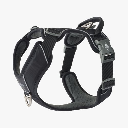 Comfort Walk Pro Harness-Black_1.jpg