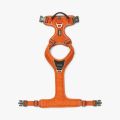 Comfort Walk Pro Harness-Orange Sun_4.jpg