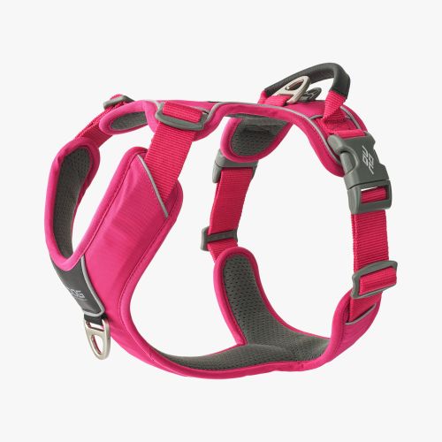 Comfort Walk Pro Harness-Wild Rose_1.jpg