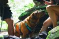 Web JPG-30551_Flagline Harness_Sarah and Andy_Rock Stalls-14.jpg